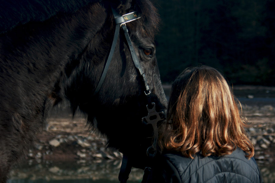 woman standing next to black horse, equine vet