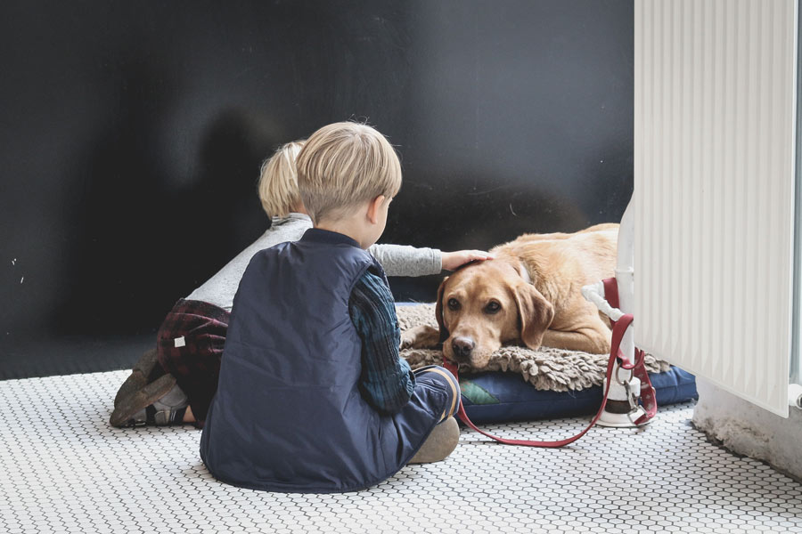 Celebrating National Kids And Pets Day PetProfessional